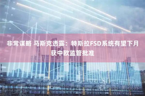 非常谋略 马斯克透露：特斯拉FSD系统有望下月获中欧监管批准