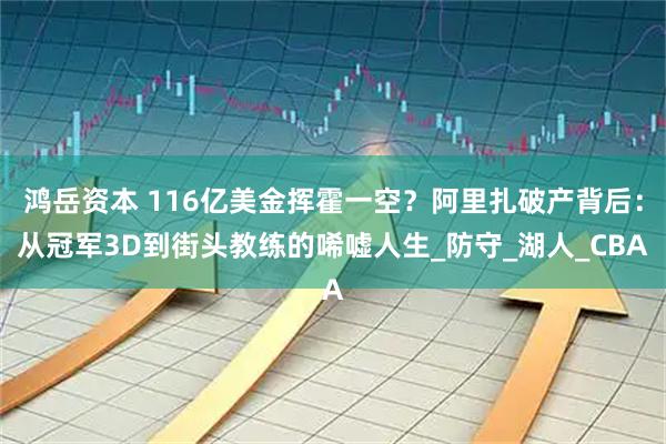 鸿岳资本 116亿美金挥霍一空？阿里扎破产背后：从冠军3D到街头教练的唏嘘人生_防守_湖人_CBA